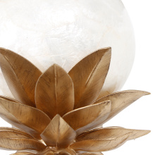 528821MG_DETAIL B.jpg